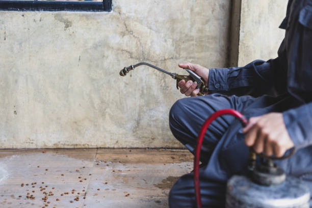 Best Rat Extermination Near Me  in Bassett, VA